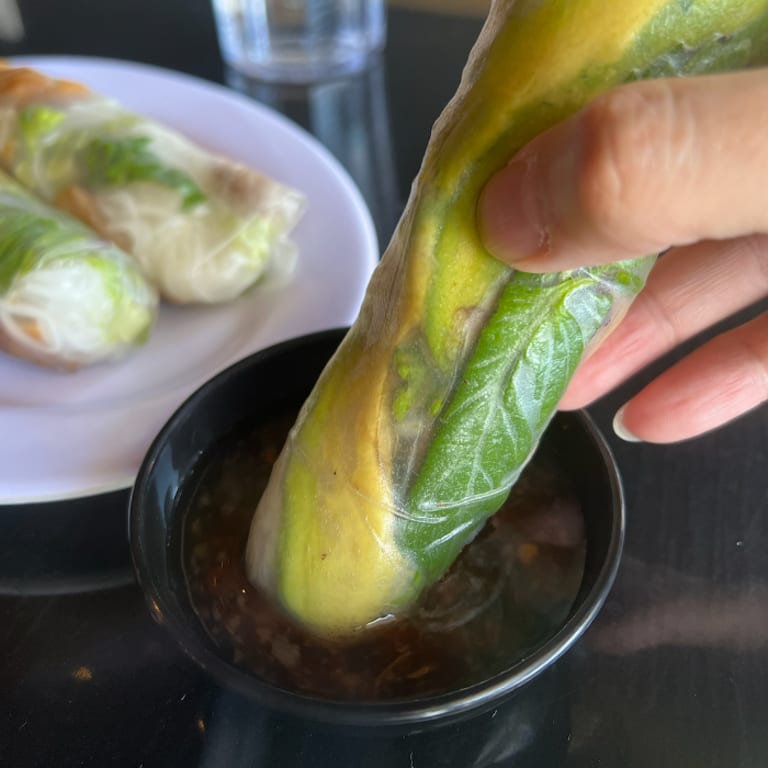 Taste Our Fresh Spring Rolls